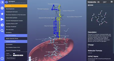 3D Metabolism - Emerging Media Lab