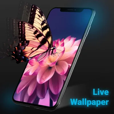 Cartoon Wallpaper For Your Phone Bright 3d Illustration Background Wallpaper  Image For Free Download - Pngtree