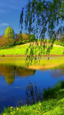 Скачать обои \"Водопады\" на телефон в высоком качестве, вертикальные картинки  \"Водопады\" бесплатно