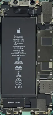 Обои с внутренностями iPhone 12 mini и iPhone 12 Pro Max в высоком  разрешении