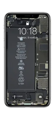 Новые обои iFixit покажут, что у iPhone 11 внутри