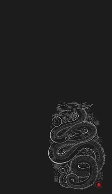 ОБОИ НА ТЕЛЕФОН | Dragon wallpaper iphone, Hypebeast wallpaper, Retro  wallpaper