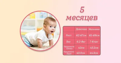 5 month / 5 месяцев | Ежемесячные младенческие фото, Ежемесячные  фотографий, Новорожденные девочки