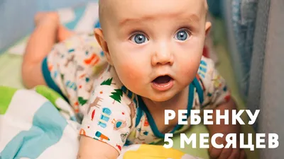 5 месяцев ❤️ (Фото) — 13 ответов | форум Babyblog