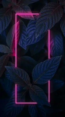 Обои на телефон | Neon wallpaper, Galaxy wallpaper, Phone wallpaper