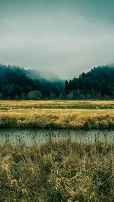 Wallpaper Oregon, 5k, 4k wallpaper, 8k, sky, river, fog, forest, pines,  Nature #5359