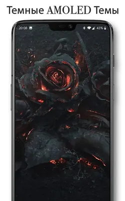 Скачать Live Wallpapers Pixel 4D 3.3.2 для Android