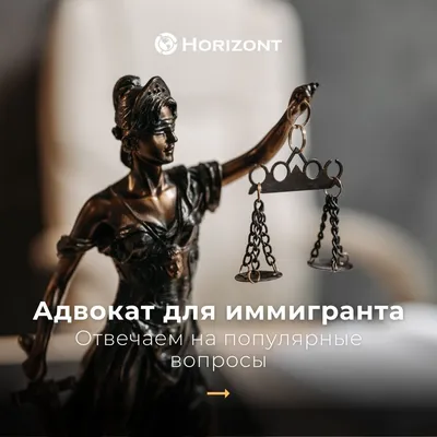 Адвокат Картинки