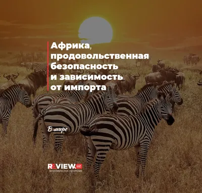 Купить книгу «Животные Африки в натуральную величину», Хольгер Хааг |  Издательство «Махаон», ISBN: 978-5-389-20814-8