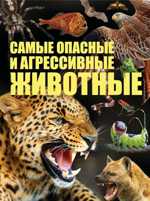 С начала 2023 года агрессивные собаки на Кубани покусали минимум 11 человек  - Новости Сочи