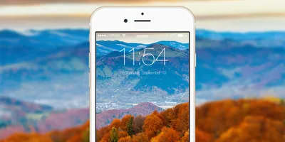 Обои для iPhone и iPad: Золотая осень - Лайфхакер