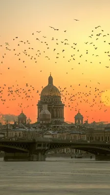 Saint Petersburg iPhone Wallpapers