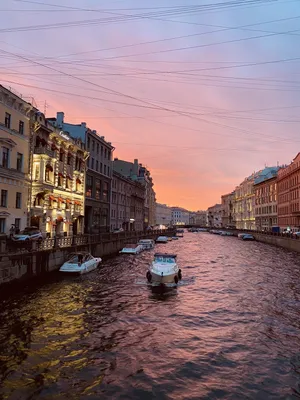 Saint Petersburg, Church, bridge, river, houses, night 1080x1920 iPhone  8/7/6/6S Plus wallpaper, background, picture, image