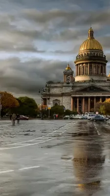 Полезного вам: прекрасные обои на телефон с | Подслушано в Питере  Санкт-Петербург СПБ