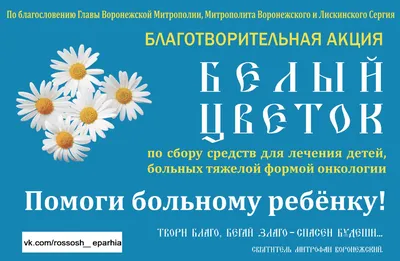 Чем отличаются акции от облигаций - какие бывают ценные бумаги и где  покупать