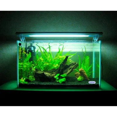 Умный аквариум Xiaomi Petkit Origin Intelligent Fish Tank + Landscape Quiet  Stone Set купить выгодно в Москве | Xiaomi-on