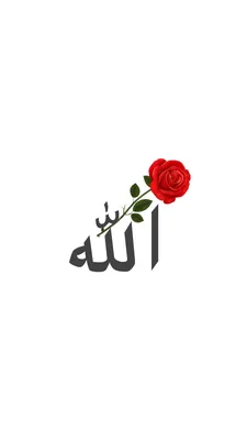 islam #обои #рек | TikTok