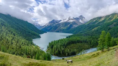 Алтай. Треккинг к Белухе