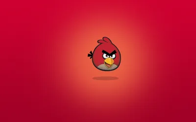 Angry Birds скачать фото обои для рабочего стола (картинка 1 из 5)