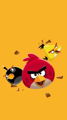 Angry Birds красная птица обои для рабочего стола, картинки и фото -  RabStol.net