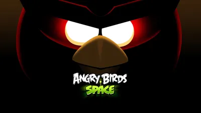 Angry Birds Star Wars II Angry Birds ПОП!Angry Birds Seasons, Птица,  животные, сова, обои на рабочий стол png | PNGWing