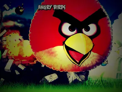 Обои Angry Birds для телефона и на рабочий стол iPhone 5