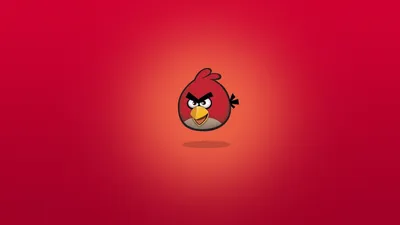 Angry Birds обои на телефон [31+ изображений]