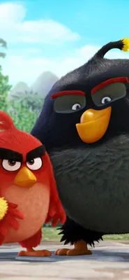 Скачать обои \"Злые Птицы (Angry Birds)\" на телефон в высоком качестве,  вертикальные картинки \"Злые Птицы (Angry Birds)\" бесплатно