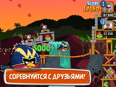 Обои Big Angry Birds на iPhone 6 Plus