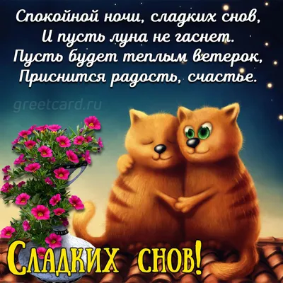 Необычные открытки \"Спокойной ночи!\" (333 шт.)