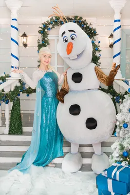 Набор игровой FROZEN Холодное серце 2,кукла с другом E8751 – купить онлайн,  каталог товаров с ценами интернет-магазина Лента | Москва, Санкт-Петербург,  Россия