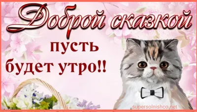 Хочется чего - то новенького? Ни слова больше 🙌🏻 Ловите новинки недели от  SPAR🫶 🥞Блинчики с Рикоттой и Манго, SPAR Аппетитные тонкие… | Instagram