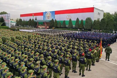 Красная Армия всех сильней: фоторепортаж Калининград.Ru