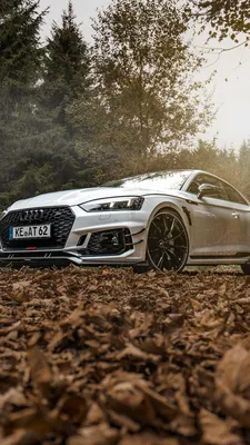 Скачать 720x1280 audi, rs6, avant, вид спереди обои, картинки samsung  galaxy mini s3, s5, neo, alpha, sony xperia compact z1, z2, z3, asus zenfone