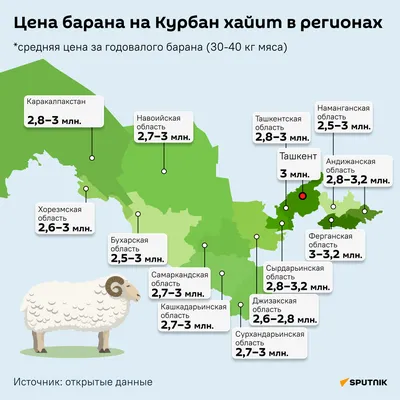 Баран — Золотое Руно - Энергия Ци