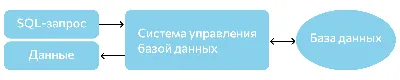 Самые распространенные базы данных в практике: анализ популярных СУБД