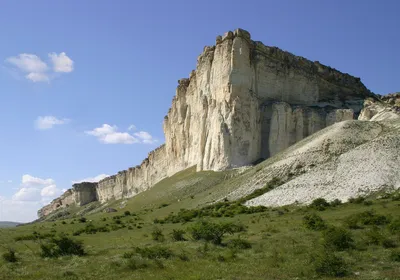 Черно-белые кухни: 101 фото в интерьере, лучшие идеи оформления