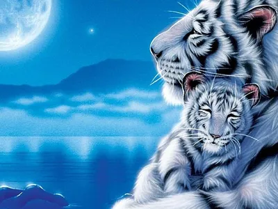 Скачать обои белый тигр с тигренком, white tiger with cub разрешение  1400x1050 #66726