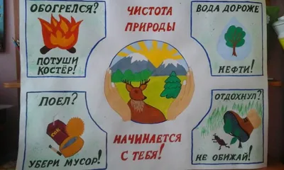 Стенгазета «Берегите природу» (1 фото). Воспитателям детских садов,  школьным учителям и педагогам - Маам.ру