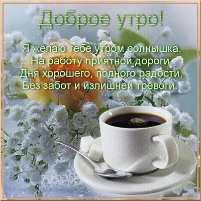 С добрым утром!#видеооткрытка #открыткасдобрымутром#открытка #рекоменд... |  TikTok