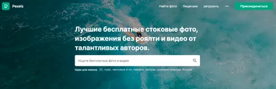 Топ-10 бесплатных фотостоков в 2024 - ZorbasMedia