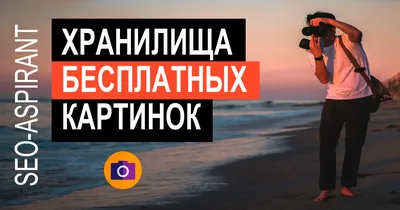 Бесплатные нейросети для генерации картинок, текстов, музыки и видео: обзор  лучших инструментов