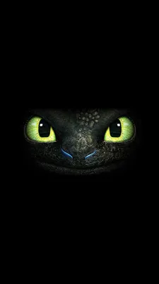 Обои Беззубик | Toothless wallpaper, How train your dragon, Toothless dragon