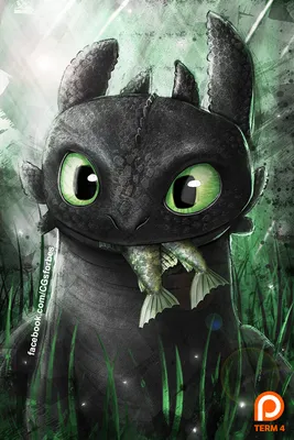 Toothless | Пикабу