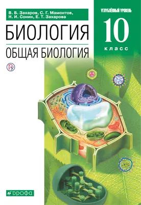 Учебник Биология. Общая биология. 10 класс. Углублённый уровень. - купить  учебника 10 класс в интернет-магазинах, цены на Мегамаркет | 202-0006