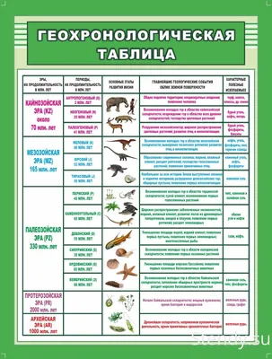 Стенд Биология в кабинет биологии