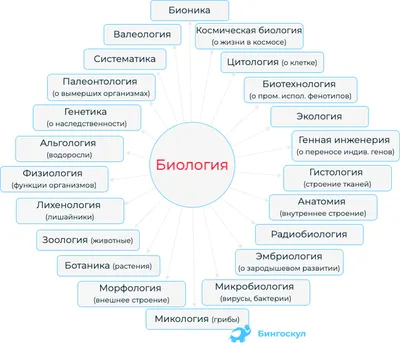 Биология. Справочник для школьников и поступающих в вузы. Издательство  Хоббитека. Официальный магазин