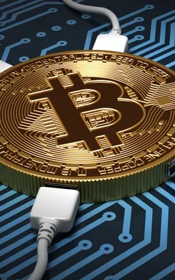 Bitcoin, digital circuit, crypt-currency, art, 720x1280 wallpaper | Faire  de l'argent, Cryptomonnaie, Bitcoin gratuit