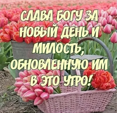 Доброе утро и благословенного дня!!! - Ежедневно с Иисусом | Facebook