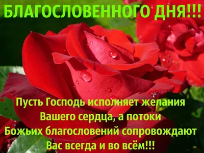 Идеи на тему «Благословенного дня.» (75) | открытки, благословение,  христианские цитаты